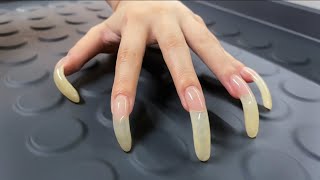 ASMR Tapping amp Scratching with my LONG NATURAL NAILS🐱🐾 [upl. by Eerpud]