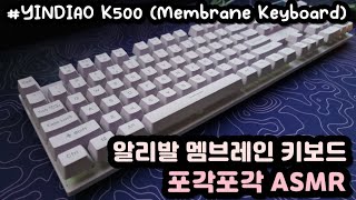 【SLOW ASMR】 YINDIAO K500ㅣStock Membrane KeyboardㅣKeyboard Typing ASMRㅣNo ADs No Talking [upl. by Stearne]