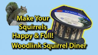 Best Squirrel Proof Bird Feeder [upl. by Enyaw895]