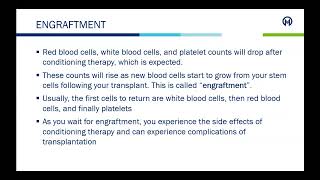 Allogeneic Stem Cell Transplant [upl. by Baiel]