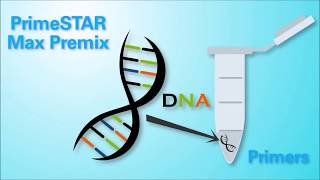 High Fidelity and FAST PCR  PrimeSTAR Premix from Takara Bio [upl. by Eshman]