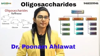 OligosaccharidesCarbohydratesBiomolecules Dr Poonam Ahlawat Biozooms Classes NEET Crash Course [upl. by Malissa]