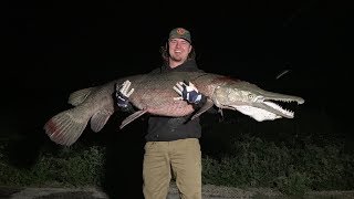 GIANT ALLIGATOR GAR Catch Clean Cook [upl. by Walker588]