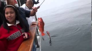 Erna B Sportfishing  Channel Islands CA  Reel Anglers TV [upl. by Nelson523]