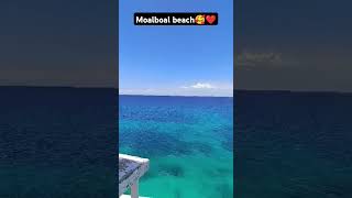 Moalboal beach❤️🥰 [upl. by Asirral137]