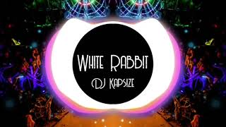 White Rabbit  Jefferson Airplane PSYTRANCE REMIX by DJ Kapsize [upl. by Resee]