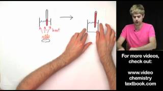 Food Calorimetry Lab Explanation [upl. by Ronni]