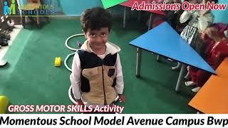 Gross Motor Skills Activity [upl. by Isleana]