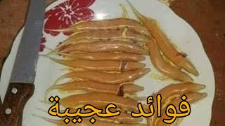 فوائد أكل لحم السقنقور سمكة الرمل مع طريقة التحضيرBenefits of eating sausage meat sand fish wit [upl. by Vasquez]