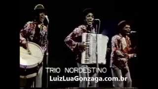 Trio Nordestino com Lindú Coroné e Cobrinha Na Emenda [upl. by Myrt]