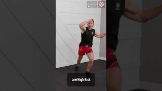 45 Home MMA Training and Kickboxing Workout [upl. by Myron]