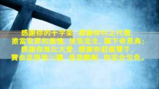 神羔羊配得  Worthy is the Lamb D Zschech Mandarin version [upl. by Korella109]