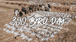 Snow Goose Hunting GIANT RAINOUTS 300 bird day [upl. by Benedick]