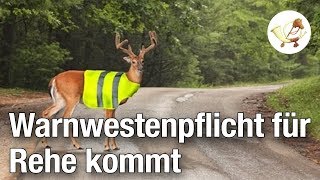 Warnwestenpflicht für Rehe kommt Postillon24 [upl. by Anni381]