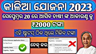 Kalia Yojana Eligibility Status  Kalia Yojana Ekyc  Kalia Yojana Money Transfer Date Odisha [upl. by Laniger]