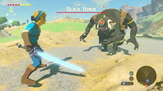 Breath Of The Wild  Giant Link Fights A Hinox [upl. by Fernando]