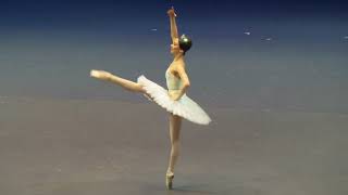 Elizaveta Kokoreva  Grand Pas Classique part 2 9062021 Benois de la Danse [upl. by Barna]