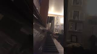 Bare en liten cover på pianoet🫣😏og det er ikkje min låt [upl. by Sisely982]