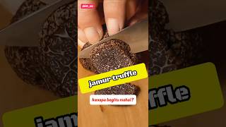 Jamur Truffle jamur sultan 😱 food shorts [upl. by Etteloc]