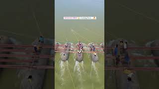 Prayagraj mahakumbh Mela 2025🙏🙏🙏MahakumbhMela🙏🙏like and subscribed [upl. by Ais]