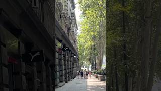 Day 546 🇬🇪 Rustaveli Avenue in Tbilisi Georgia tbilisi georgia tbilisivlog streetwalking [upl. by Kelcey786]