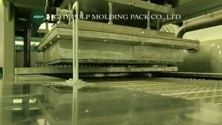 HGHY Paper Pulp Molding Pallet Machine [upl. by Aikrehs]