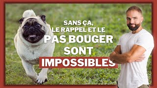 Rappel pas bouger impossibles sans ça [upl. by Petromilli]