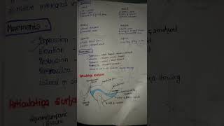 Temporomandibular joint [upl. by Helenka]