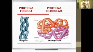 Química Biológica  Proteínas  Clasificación [upl. by Dumond]