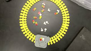 Plant cell active transport [upl. by Eybba]