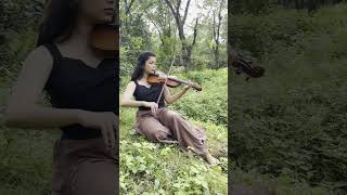 Navarasa theme song  Violin cover AR rehman Navarasa [upl. by Royd583]