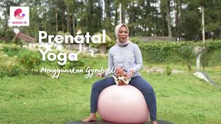 Prenatal Yoga dengan Gymball oleh Bidan Jamilatus Sadiyah [upl. by Woodman771]