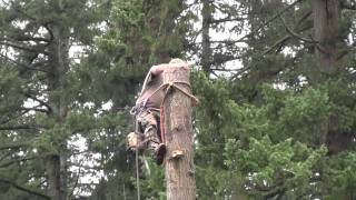 WARN PullzAll application Helping to fell a tree [upl. by Castra]