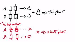 The complementation test [upl. by Sellers]