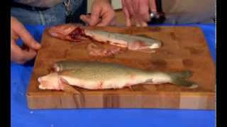 Technique de Filet pour le Doré au Québec [upl. by Chloris959]