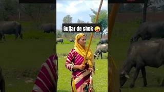 7 Tottey New Dogri Song Short Video pahadi shorts ytshorts dance dogrisong [upl. by Aural]