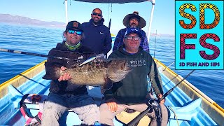 Panga Fishing Baja California Sierra Cabrilla amp Trigger Fish in La Poma Gonzaga Bay Spring 23 SDFS [upl. by Boland]