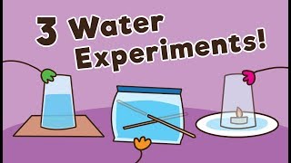 3 Easy Water Experiments for Kids [upl. by Walls]