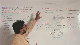 Mitosis  Prophase  Metaphase  Anaphase  Telophase  FScBiology [upl. by Esirahs278]