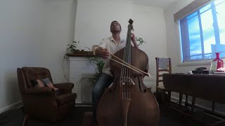 Sankarabharanam Varnam Sami Ninne  Rohan Dasika Double Bass [upl. by Neyrb978]