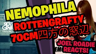 ROTTENGRAFFTY  70cm四方の窓辺 Cover by NEMOPHILA  Roadie Reacts [upl. by Grinnell]