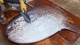 Amazing！Giant Sunfish Cutting Skills Sunfish Catching Sunfish Jelly驚奇的漫波魚切割技巧翻車魚捕捉燙漫波魚腸佳濱成功旗魚 [upl. by Nefets]