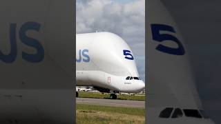 The Beluga 🥵✈️  Giant Cargo plane🔥Beluga [upl. by Houser]