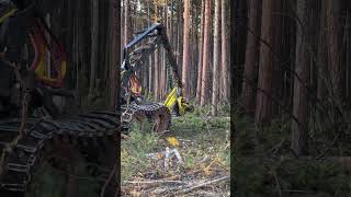 Harvester John Deere 1470G Takes On The Toughest Trees🌲 [upl. by Niknar]