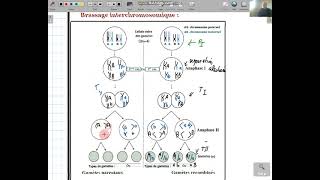 svt transfert de linformation genetique par reproduction sexuéele brassage interchromosomique [upl. by Brigette988]