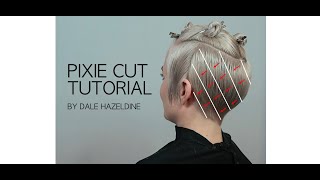 STEP BY STEP PIXIE CUT TUTORIAL  hair by DALE HAZELDINE [upl. by Supple7]