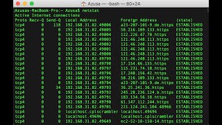 Check All the Active Connections with NETSTAT [upl. by Wendolyn]