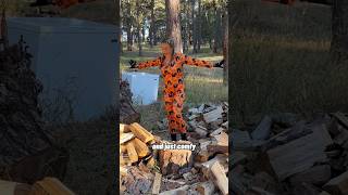 What is it woodchopping axe ootd jumpsuit help shorts woodsplitting funny [upl. by Ateuqram]