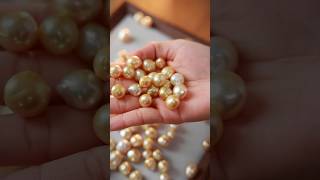 Discover the Radiance of South Sea Golden Pearls in 10 Seconds [upl. by Gerg877]