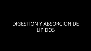 Digestion y Absorción de Lípidos [upl. by Nolham]